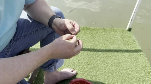 Preparing Fishing Hook with Bait, Close Up Hands Setup for Fishing Activity Video stock 333922693