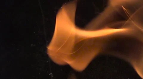 Preparing food on flame Stock Footage 54273683