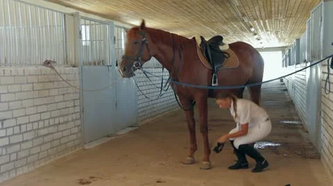 Preparing. Stock-Footage 22288665