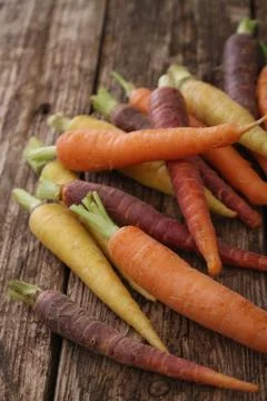 Preparing fresh carrots Stock Photos