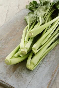 Preparing fresh chard Stock Photos