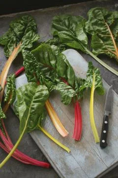 Preparing fresh chard Stock Photos