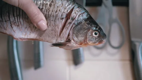 Preparing Fresh Fish for Cooking a comprehensive guide to delicious culinary Stock Footage 312014975