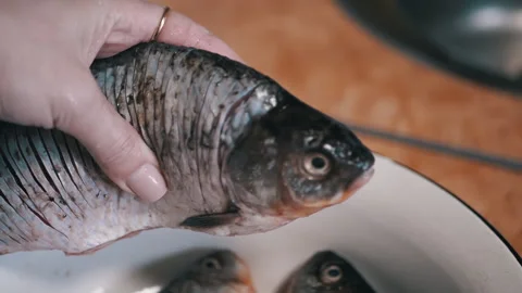 Preparing Fresh Fish in the Kitchen for Cooking and Creating Delicious Dishes Stock Footage 312014852