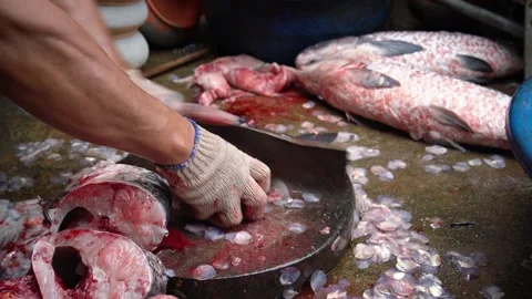 Preparing Fresh Fish for Traditional Braised Fish in Vu Dai Village, Ninh Binh, Vídeos de archivo 344789656