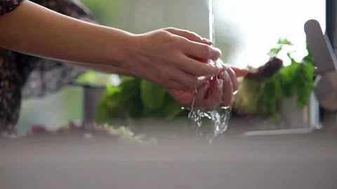 Preparing fresh ingredients in a kitchen Stock Footage 336466203
