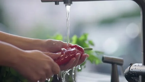 Preparing fresh ingredients in a kitchen Stock Footage 336466204