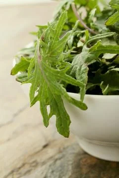 Preparing fresh kale leaves Stock Photos