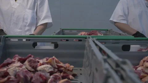 Preparing fresh meat for delivery to stores. Slow motion. Meat production and Stock Footage 156038434