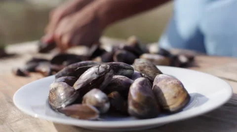 Preparing fresh mussels Stock Footage 63306774