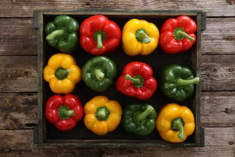 Preparing fresh peppers Stock Photos