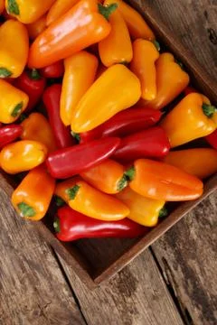 Preparing fresh peppers Stock Photos