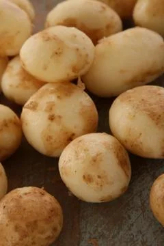 Preparing fresh potatoes Stock Photos