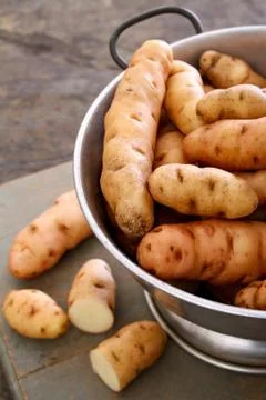 Preparing fresh potatoes Stock Photos