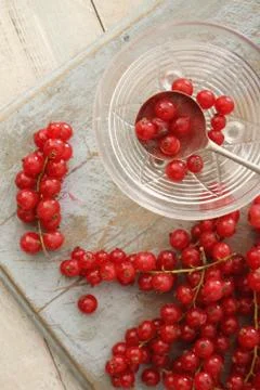 Preparing fresh redcurrants Stock Photos