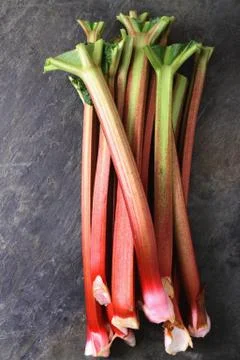 Preparing fresh rhubarb Stock Photos