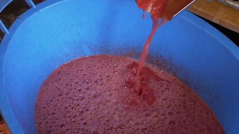 Preparing fresh Tomato juice - medium shot Stock Footage 78137068