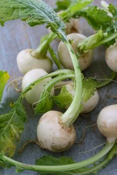 Preparing fresh turnip Stock Photos