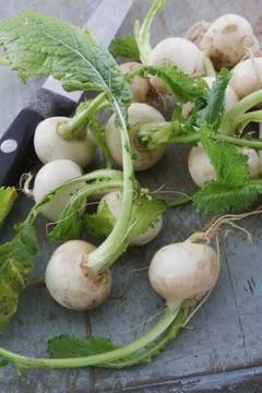 Preparing fresh turnip Foto stock