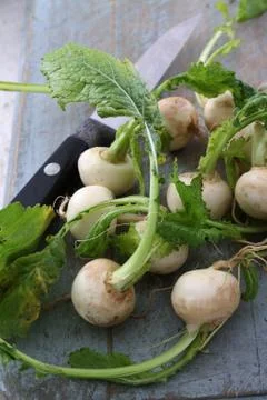 Preparing fresh turnip Stock Photos