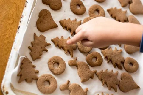 Preparing gingerbread cookies. Stock Photos