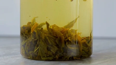 Preparing green tea Video stock 90809051