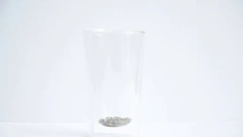 Preparing green tea Stock Footage 129767762