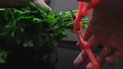 Preparing greens for cooking Stock Footage 242834777