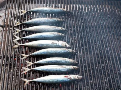 Preparing grill 库存照片