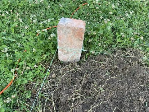 Preparing ground base for inflatable pool Stock Photos