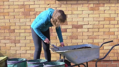 Preparing to grow potatoes with home made compost Stock Footage 321462852