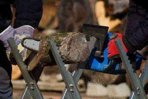 Preparing for the harsh winter. Stock Photos