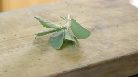 Preparing a healthy meal  - close up Video stock 81187366