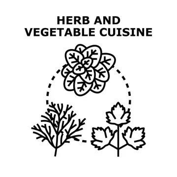 Preparing herb and vegetable cuisine with fresh ingredients イラスト素材
