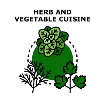 Preparing herb and vegetable cuisine with fresh ingredients イラスト素材