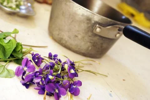 Preparing Herbal Dwarf Iris Stock Photos