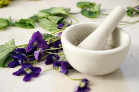 Preparing Herbal Dwarf Iris Foto stock