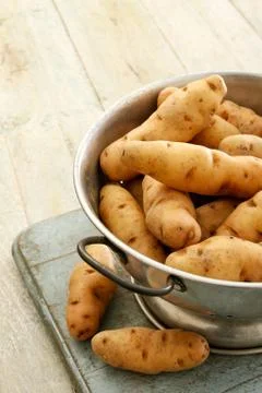 Preparing heritage potatoes Stock Photos