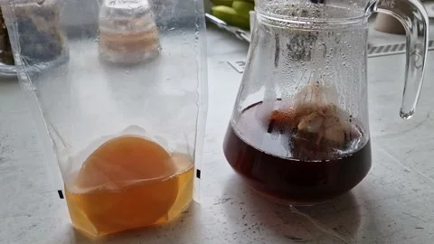 Preparing a home made kombucha from the black tea Stock Footage 234059459