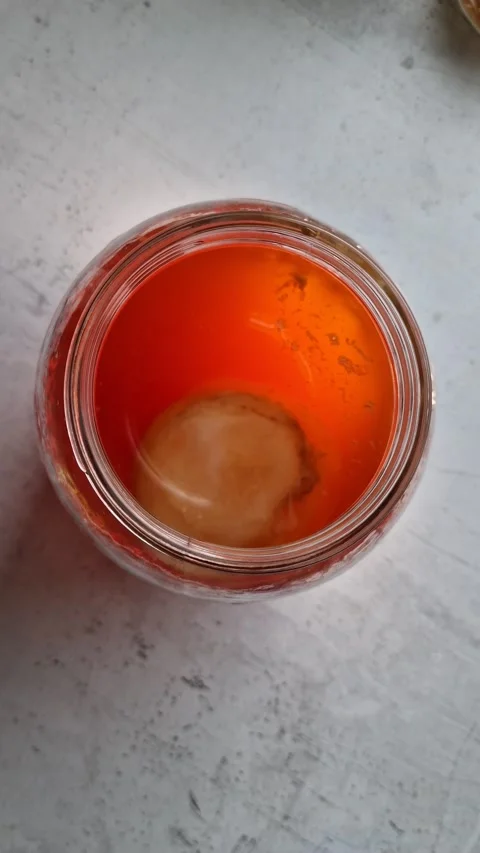 Preparing a home made kombucha from the black tea Stock Footage 234060390