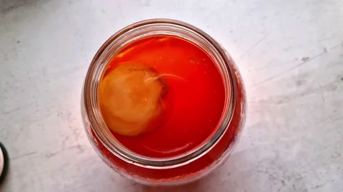 Preparing a home made kombucha from the black tea Stock Footage 234061455