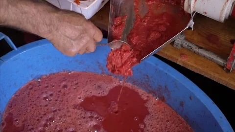 Preparing Home Made Tomato juice Sauce - slow motion Stock Footage 78182425