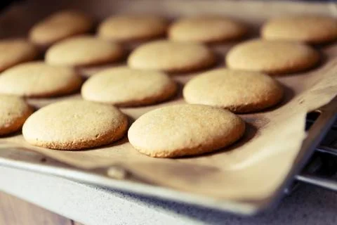Preparing homemade gingerbread Stock Photos
