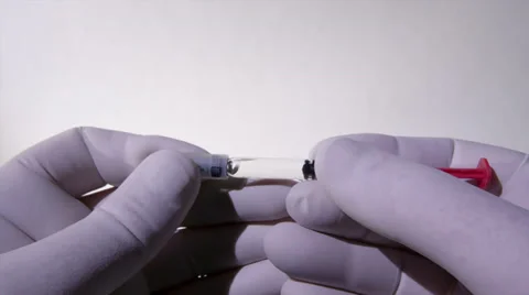 Preparing an Injection Vídeo Stock 34332572