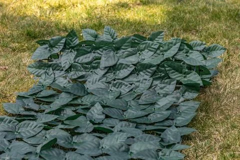 Preparing for the installation of artificial leaf netting on a fence, decor.. Stock Photos