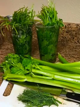 Preparing for juice Foto stock