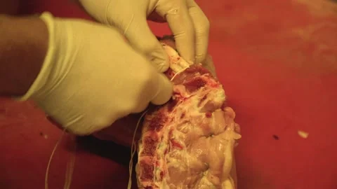 Preparing kebap at a Turkish restaurant Stock Footage 145651446