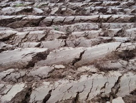 Preparing Land Stock Photos