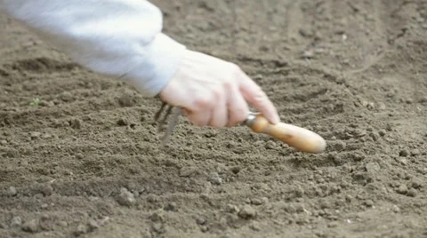 Preparing land for planting Stock Footage 47233373