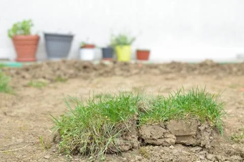 Preparing Lawn in a Backyard Stock Photos